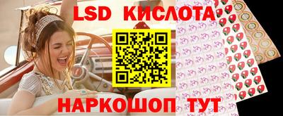 МДПВ Кингисепп
