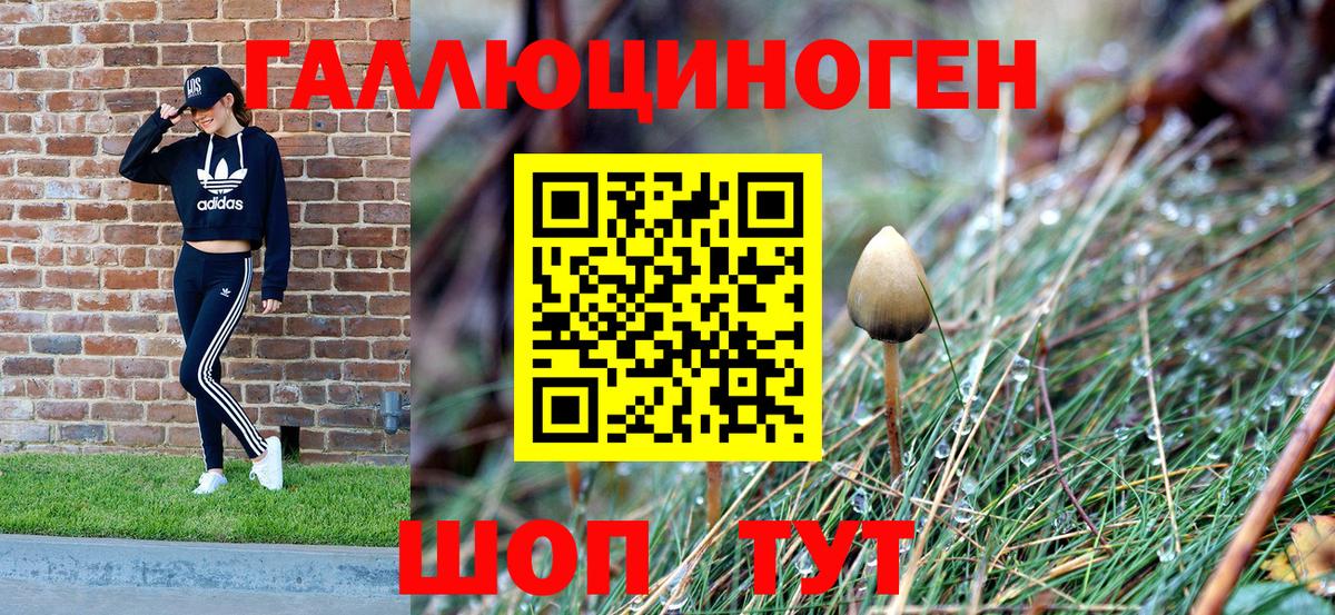 Севастополь  Галлюциногенные грибы Cubensis  Вход с VPN 